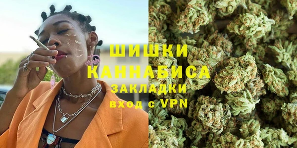 индика Абаза