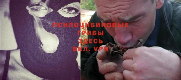 индика Абаза