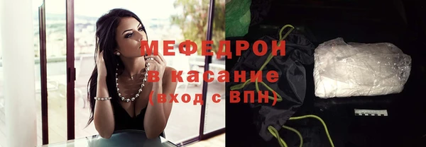 индика Абаза