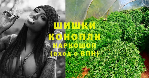 индика Абаза