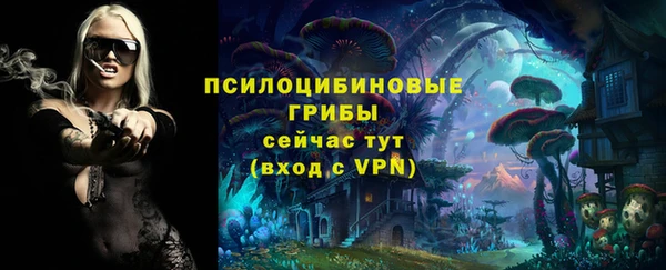 первитин Алексеевка