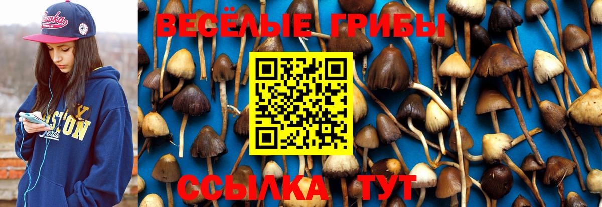 Галлюциногенные грибы мицелий Альметьевск
